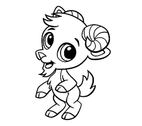 Baby Goat Coloring Pages
 Baby Goat Drawing at GetDrawings