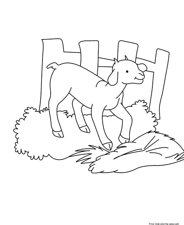 Baby Goat Coloring Pages
 Printable Baby goat Coloring pages for kidsFree Printable