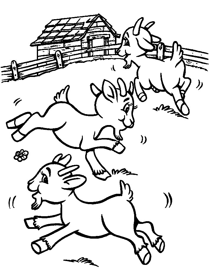 Baby Goat Coloring Pages
 Stay at Home Toddler G lesson