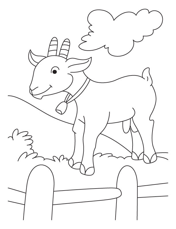 Baby Goat Coloring Pages
 Desenhos de Cabras para Colorir