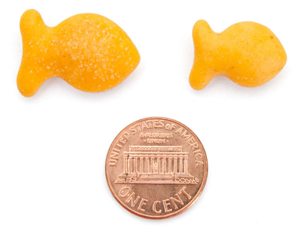 Baby Goldfish Crackers
 We Try Every Species of Goldfish