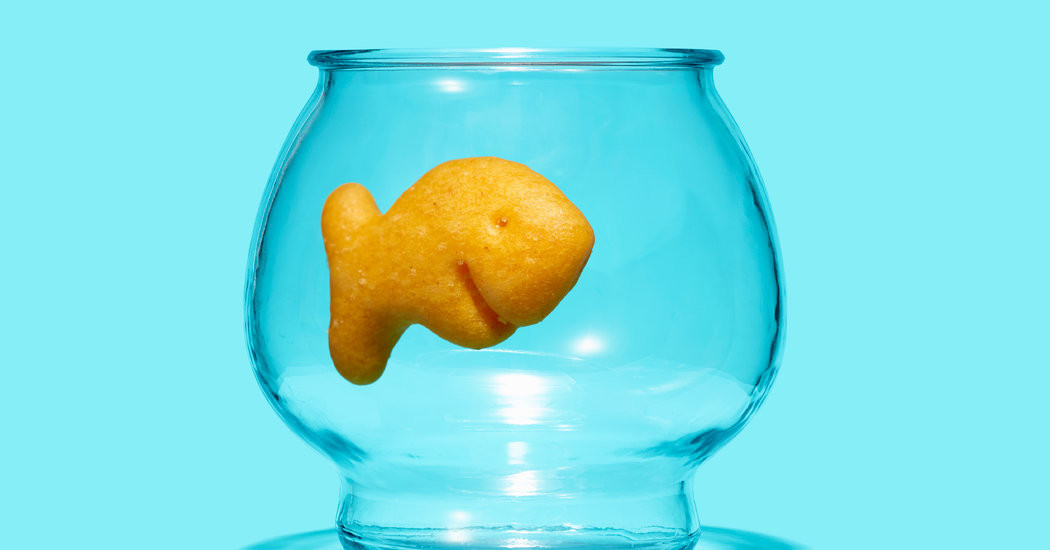 Baby Goldfish Crackers
 These Goldfish Are 70 Percent Organic The New York Times
