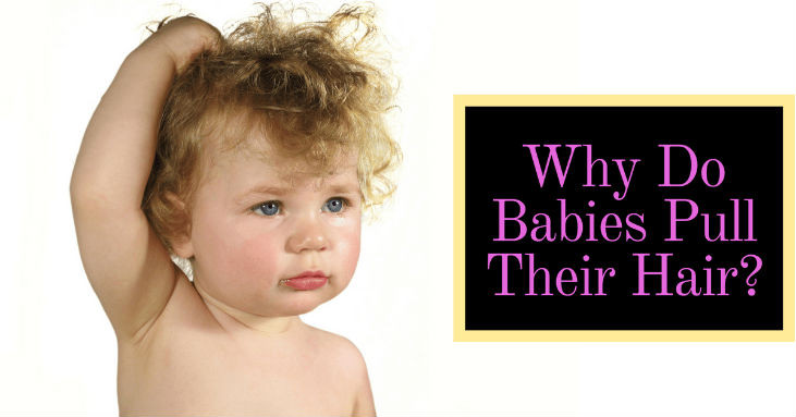 Baby Hair Pulling
 Why Do Babies Pull Their Hair Know the Surprising Reasons