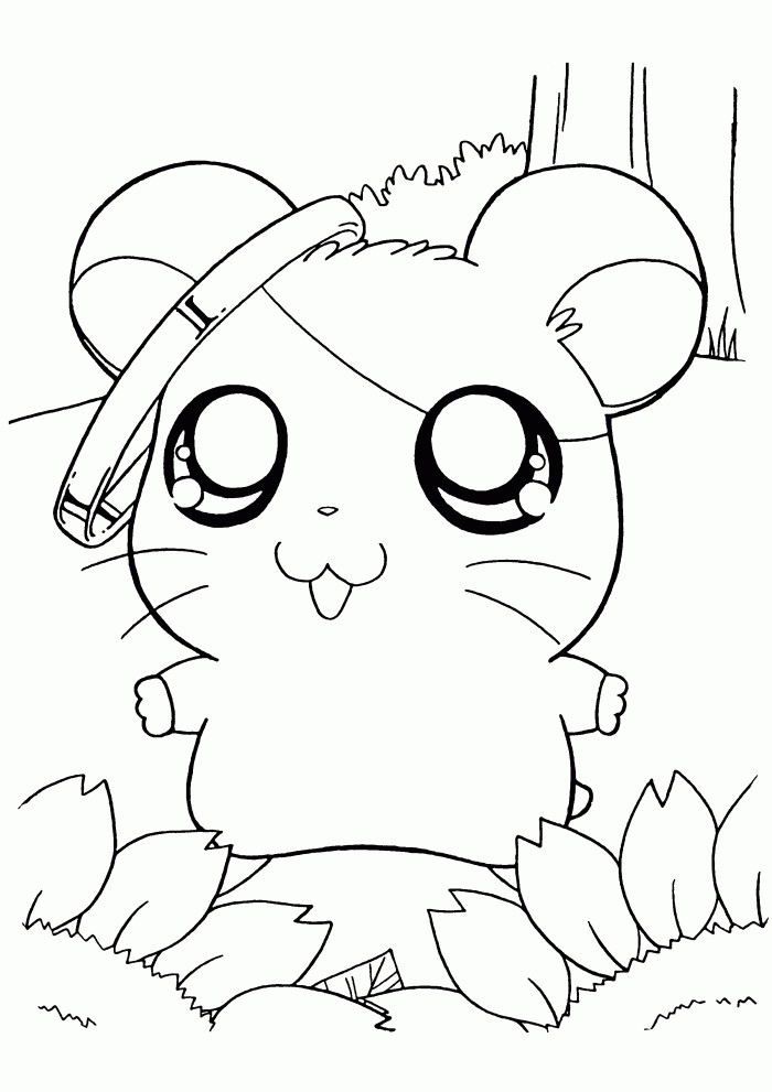 Baby Hamster Coloring Pages
 Funny Hamster Coloring Pages