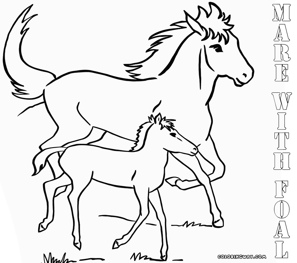 Baby Horse Coloring Pages
 Minecraft Baby Horse Coloring Pages Coloring Pages