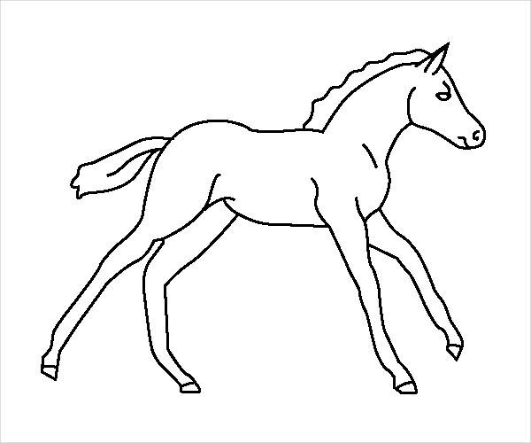 Baby Horse Coloring Pages
 12 Horse Coloring Pages JPG Download