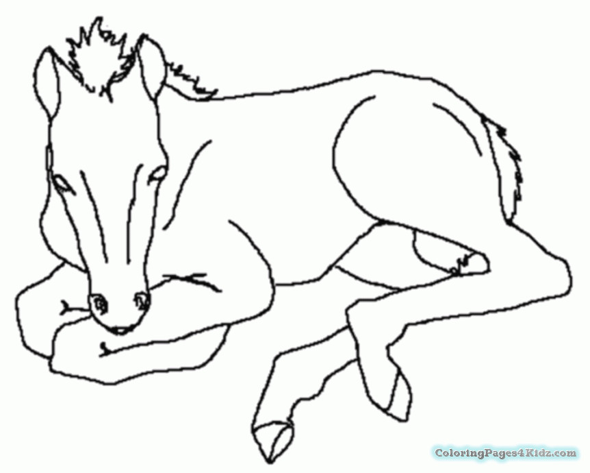 Baby Horse Coloring Pages
 Mom And Baby Horse Printable Coloring Pages