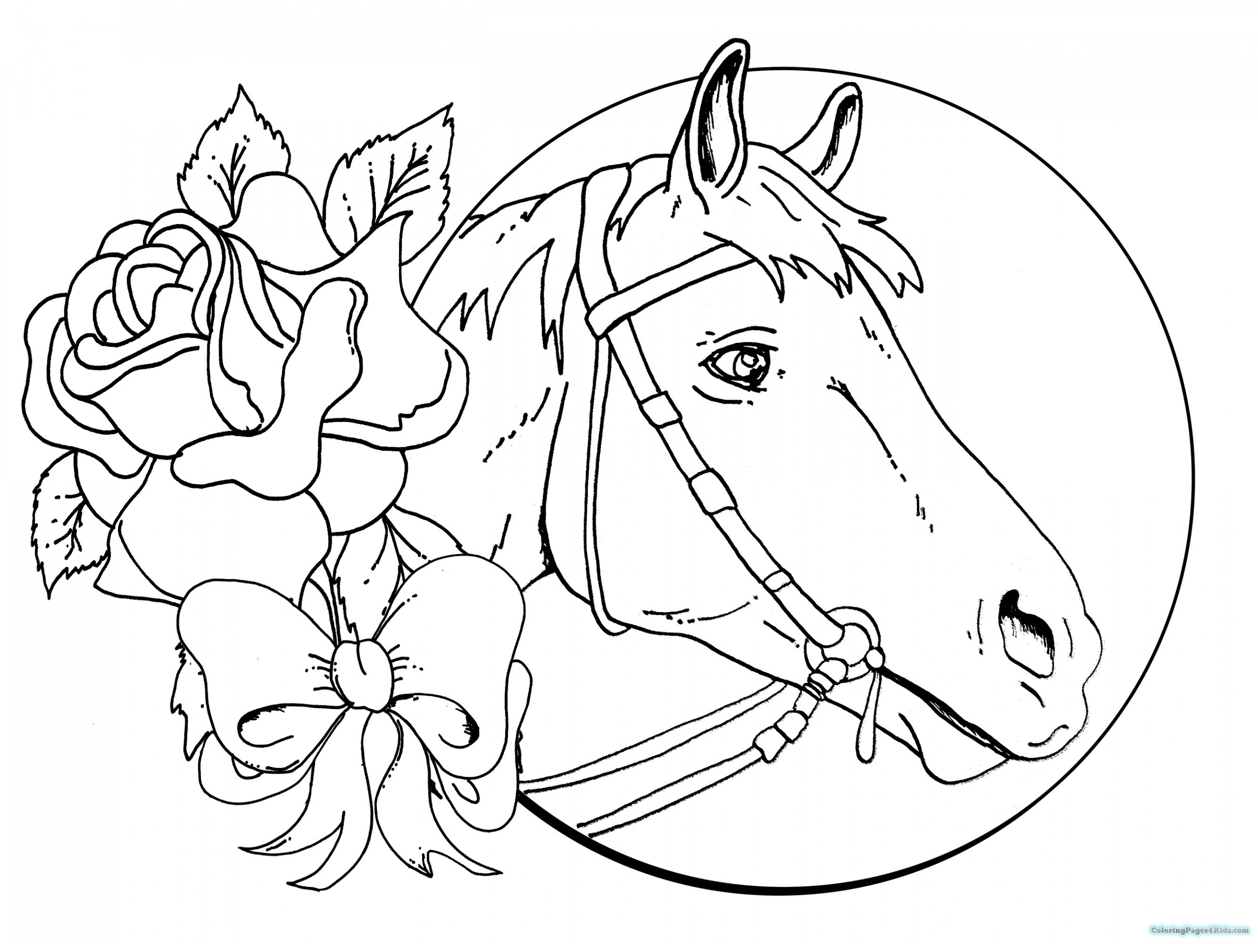 Baby Horse Coloring Pages
 Coloring Pages A Horse A Newborn Baby