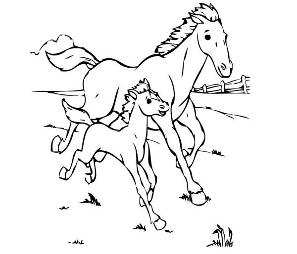 Baby Horse Coloring Pages
 Baby Horse Running with His Mother in Horses Coloring Page