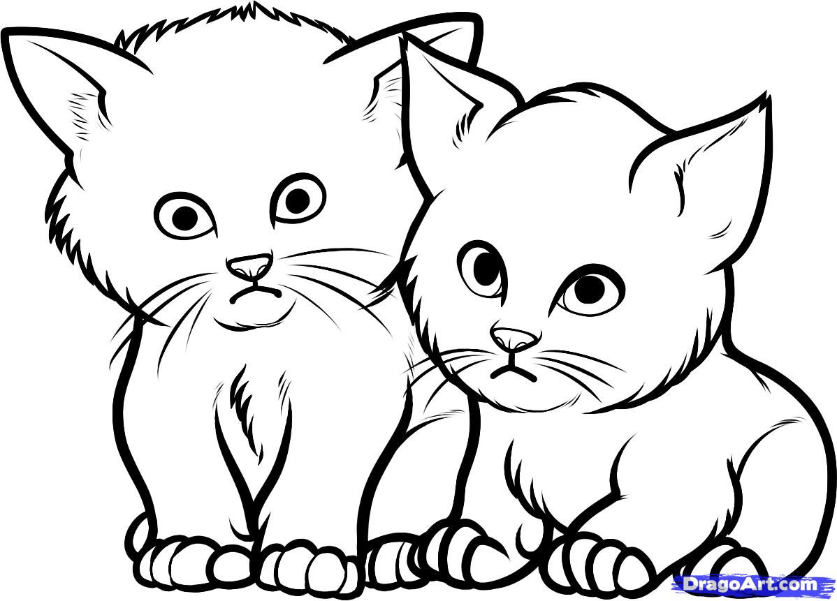 Baby Kittens Coloring Pages
 How to Draw Baby Kittens Baby Kittens Step by Step Pets