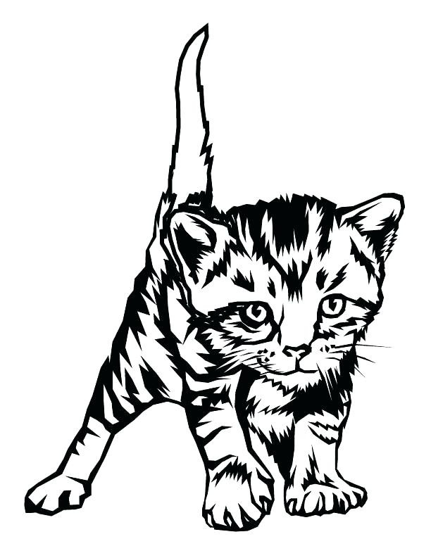Baby Kittens Coloring Pages
 The best free Kitten drawing images Download from 1132