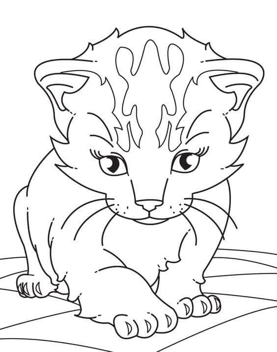 Baby Kittens Coloring Pages
 30 Free Printable Kitten Coloring Pages Kitty Coloring