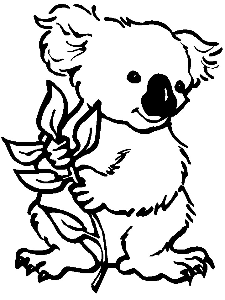 Baby Koala Coloring Pages
 Free Printable Koala Coloring Pages For Kids
