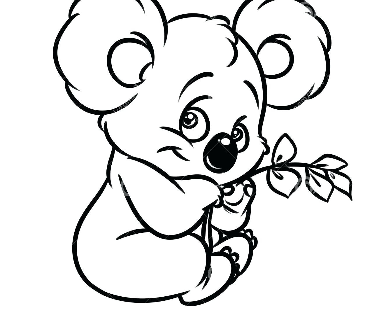 Baby Koala Coloring Pages
 Baby Koala Drawing at GetDrawings