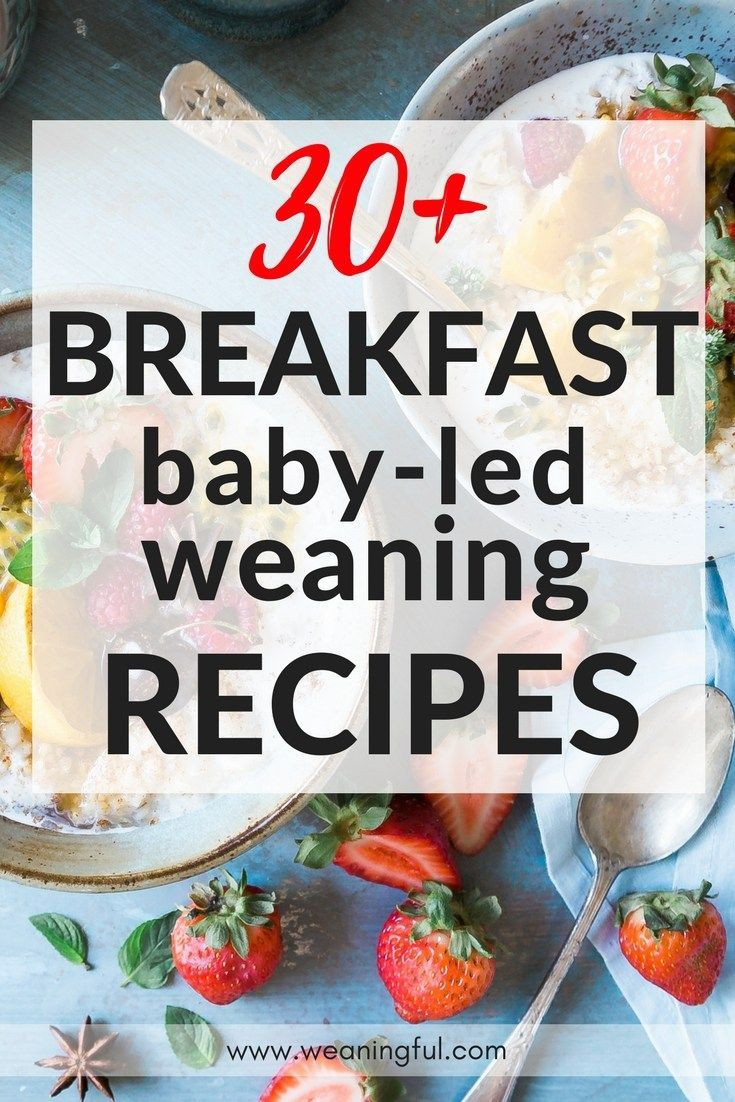 Baby Led Weaning Recipes 9 Months
 30 baby led weaning breakfast recipes Baby Food