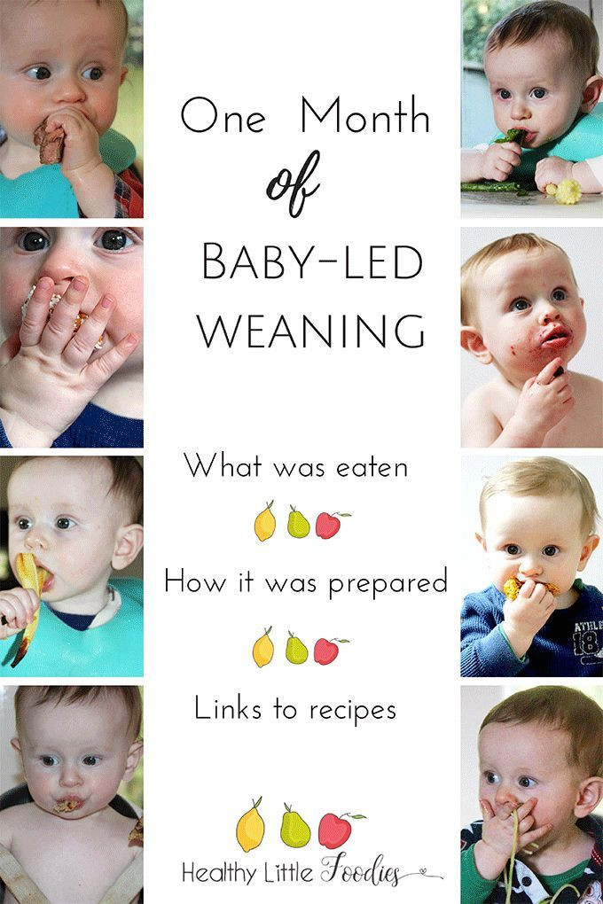Baby Led Weaning Recipes 9 Months
 1503 best images about Happy Baby on Pinterest