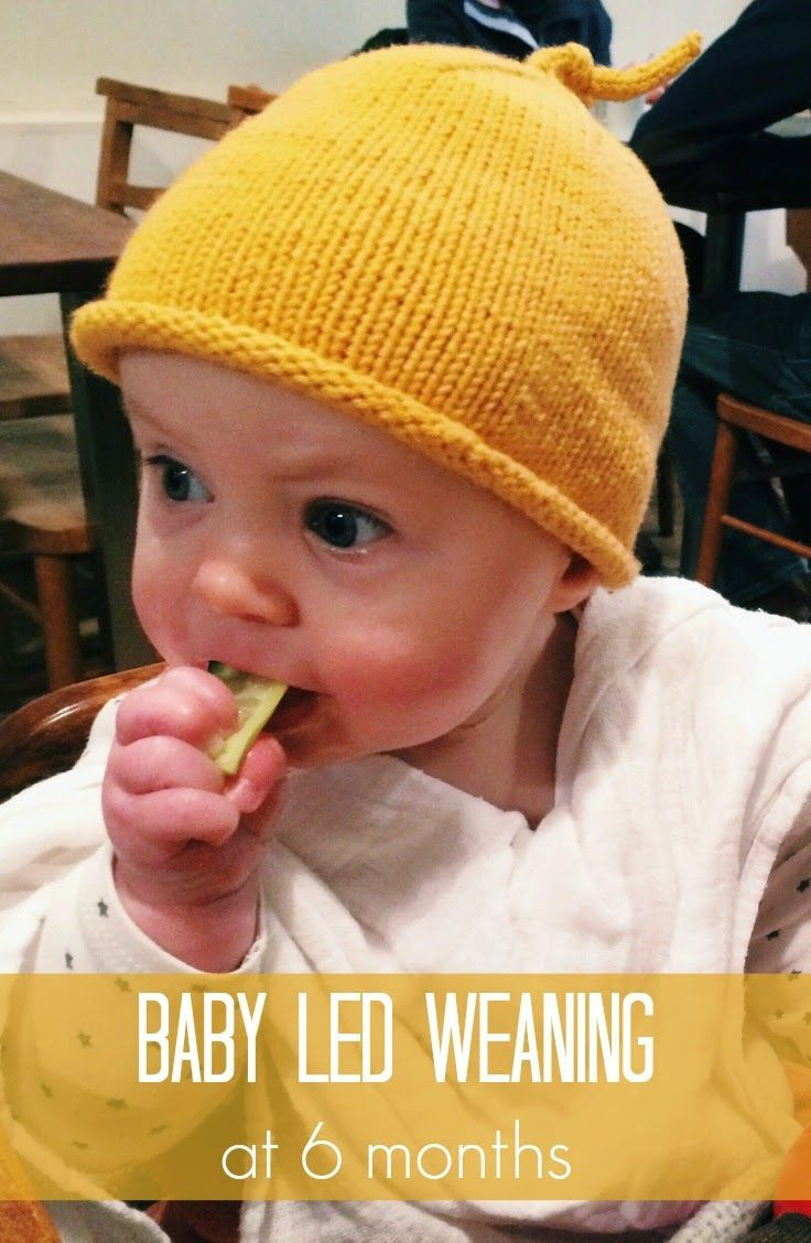 Baby Led Weaning Recipes 9 Months
 Baby Led Weaning At 6 Months