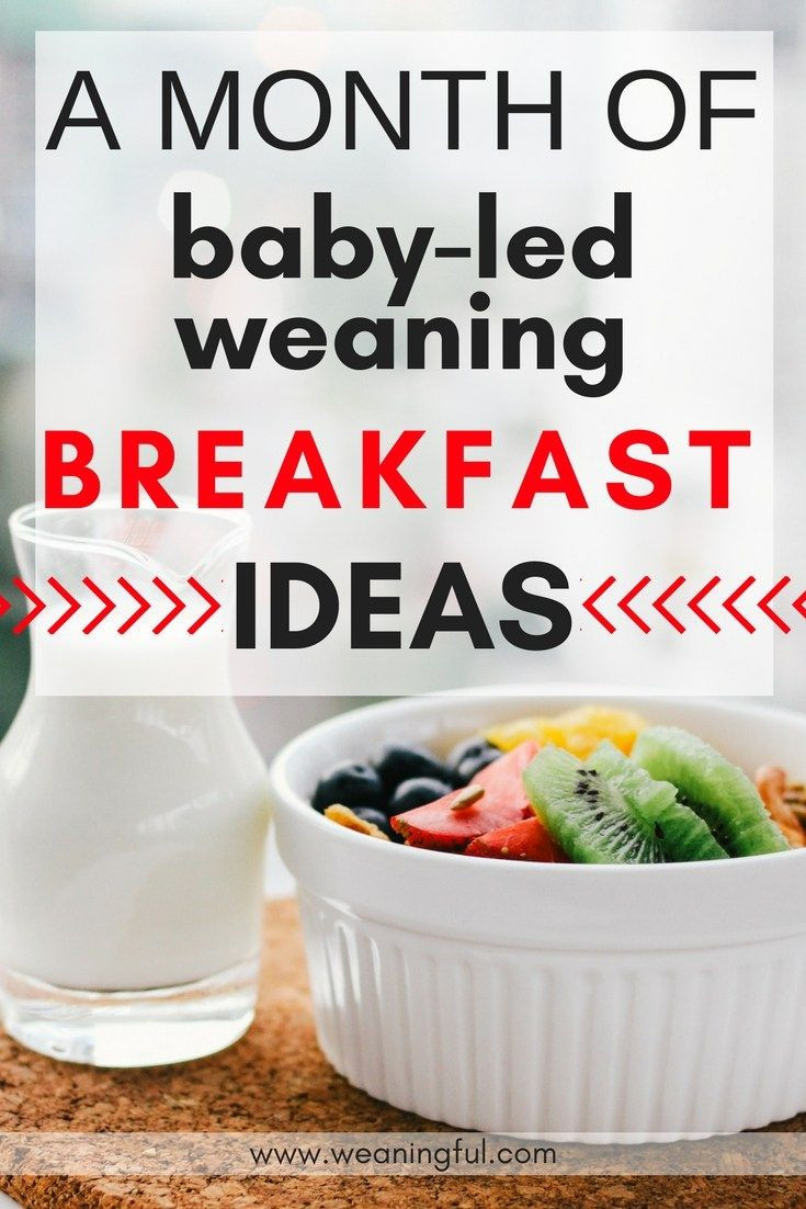 Baby Led Weaning Recipes 9 Months
 30 baby led weaning breakfast recipes