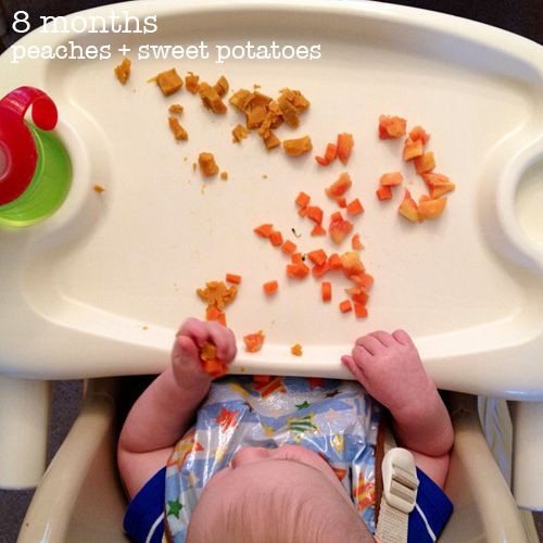 Baby Led Weaning Recipes 9 Months
 Baby Led Weaning and snack ideas 4 6 months and beyond