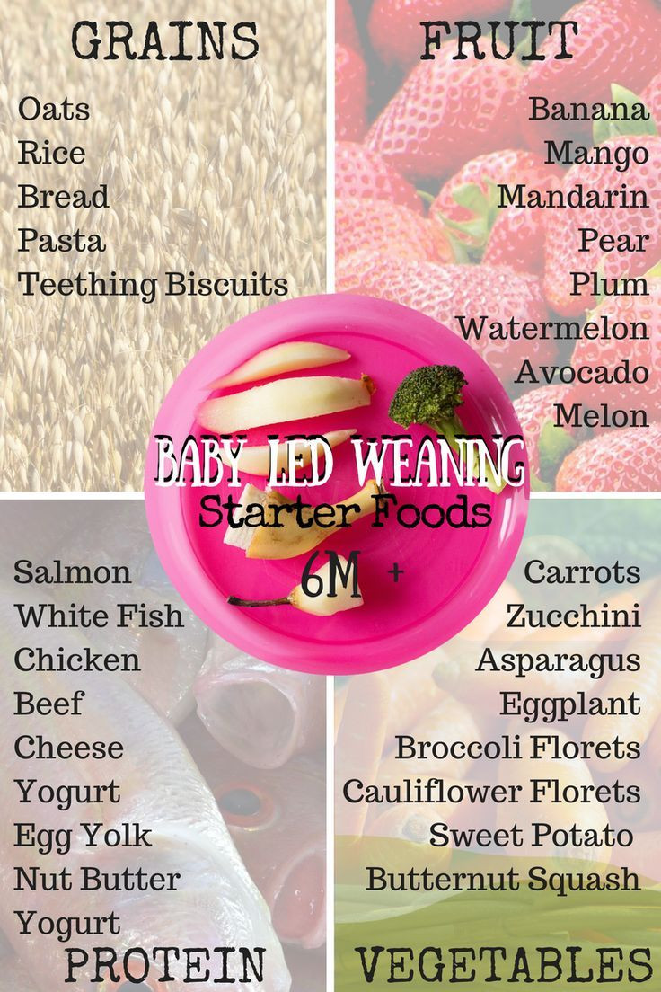 Baby Led Weaning Recipes 9 Months
 How to Get Started with Baby Led Weaning Feed Baby Whole