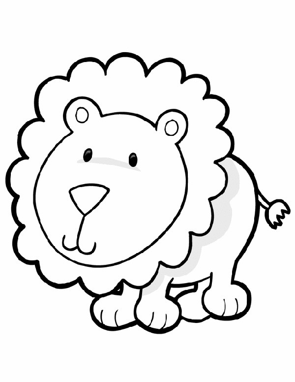 Baby Lion Coloring Page
 Animal coloring pages for kids Cute kitten