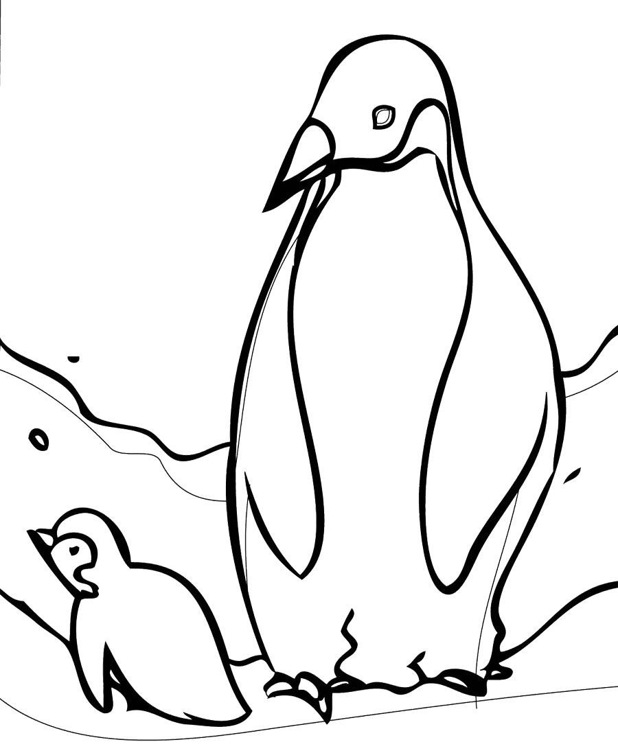 Baby Penguin Coloring Pages
 Daddy and baby penguin