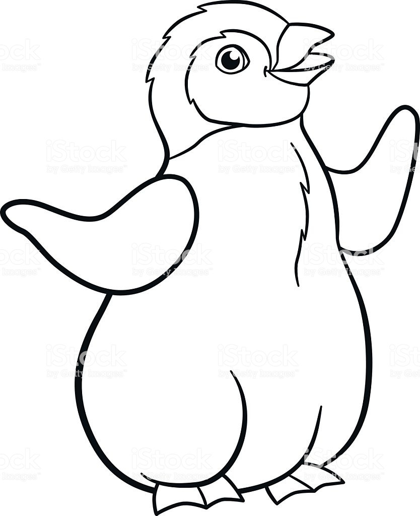 Baby Penguin Coloring Pages
 Coloring Pages Little Cute Baby Penguin Smiles Stock