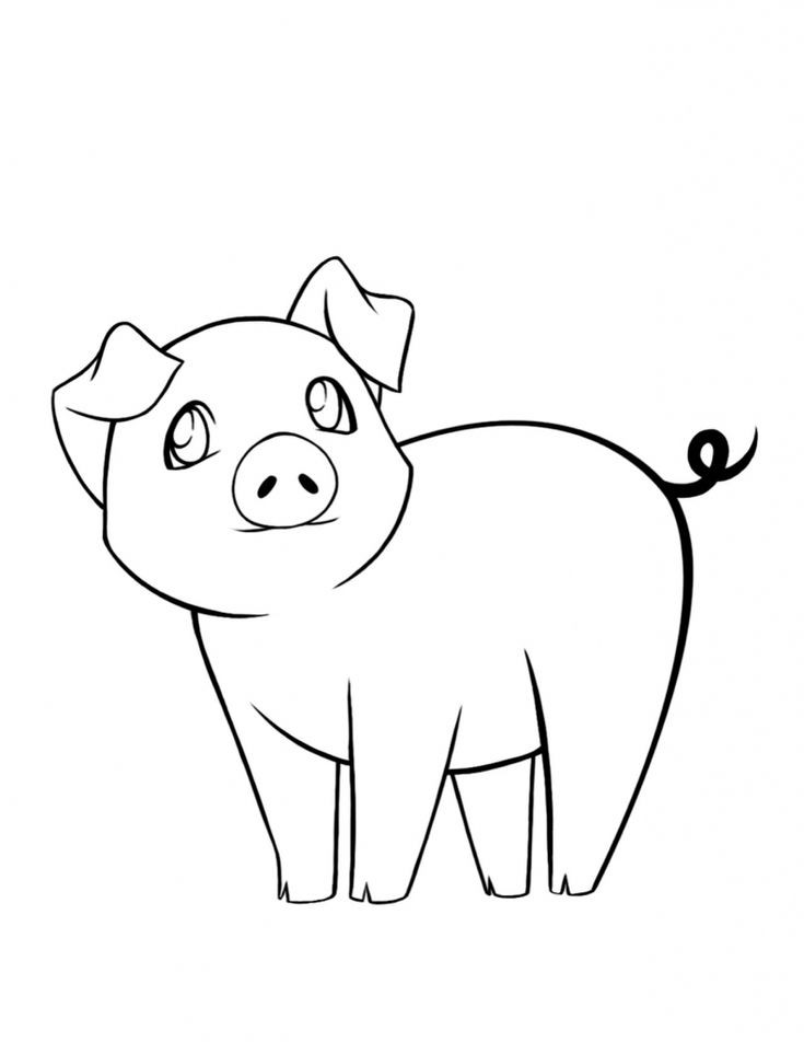Baby Pig Coloring Pages
 26 best Alphabet Coloring Pages images on Pinterest