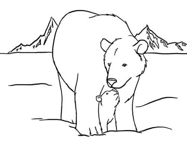 Baby Polar Bear Coloring Pages
 Polar Bear and Her Baby Coloring Page NetArt