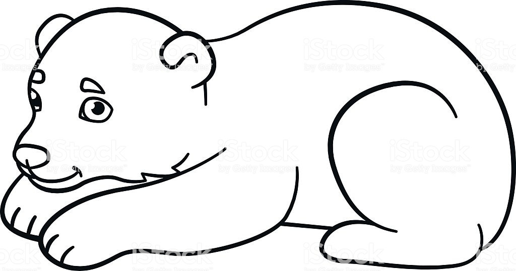 Baby Polar Bear Coloring Pages
 Coloring Pages Little Cute Baby Polar Bear Stock Vector
