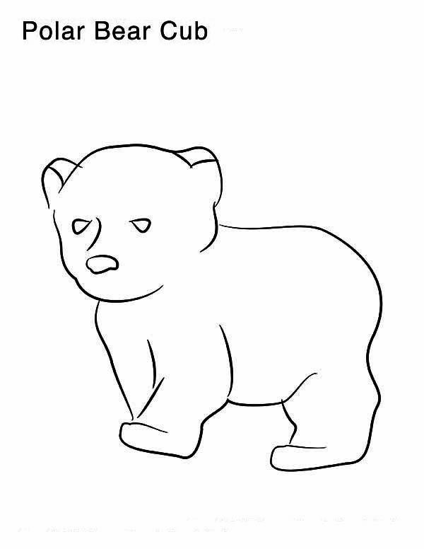 Baby Polar Bear Coloring Pages
 Polar Bear Little Polar Bear Coloring Page