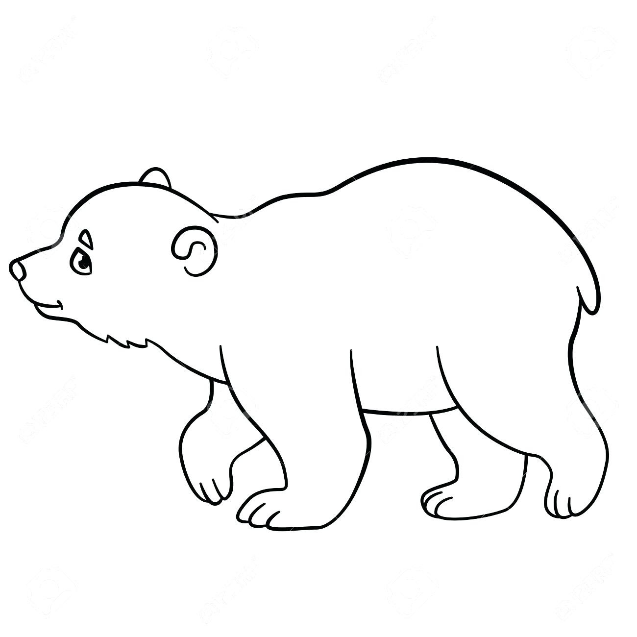 Baby Polar Bear Coloring Pages
 Cute Polar Bear Drawing at GetDrawings