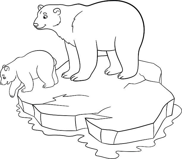 Baby Polar Bear Coloring Pages
 Royalty Free Baby Polar Bear Clip Art Vector