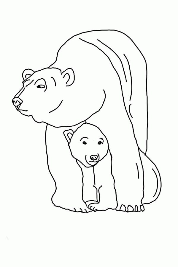 Baby Polar Bear Coloring Pages
 Baby Polar Bear Pages Coloring Pages