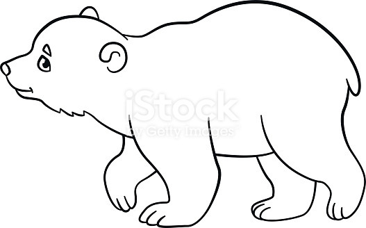 Baby Polar Bear Coloring Pages
 Coloring Pages Little Cute Baby Polar Bear Walks Stock