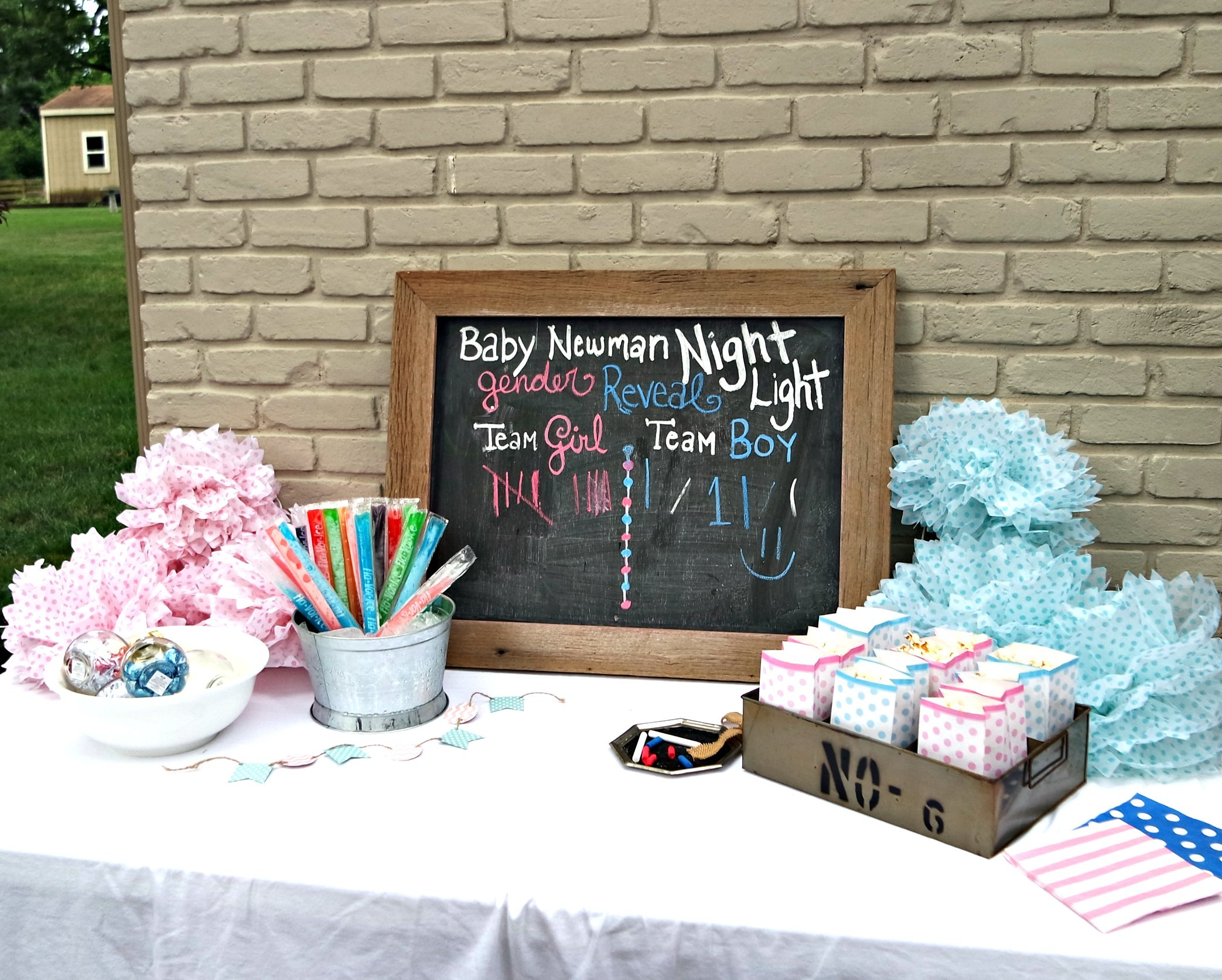 Baby Reveal Party
 How to Host and Attend a Gender Reveal Party Boogie Wipes