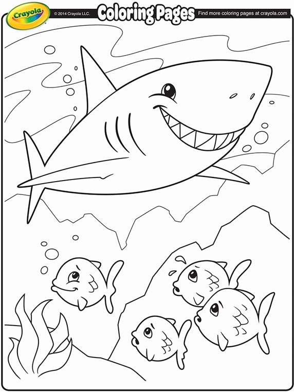 Baby Shark Coloring Book
 Baby Shark Coloring Pages at GetColorings