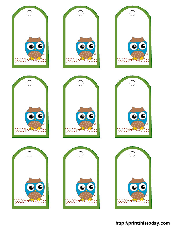 Baby Shower Gift Tag Template
 Free Owl Baby Shower Favor Tags Templates