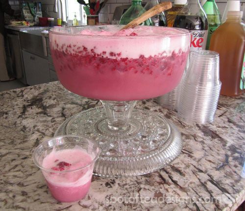 Baby Shower Punch Recipes With Sherbet
 Pink sherbert punch