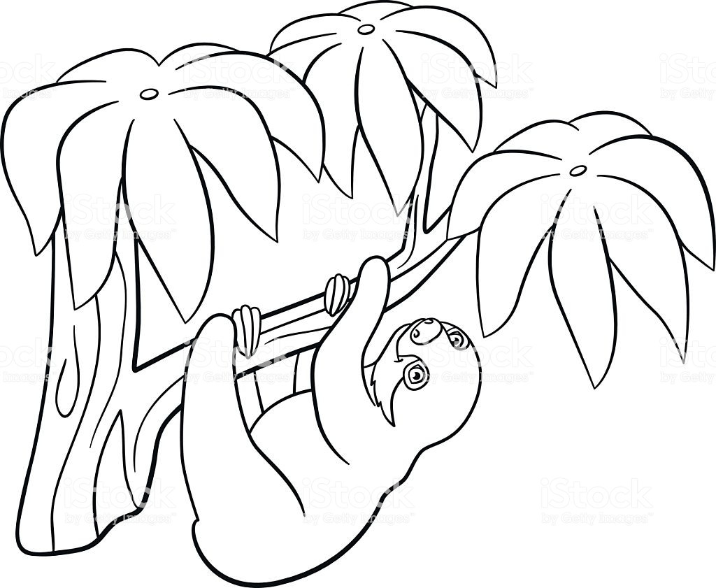 Baby Sloth Coloring Pages
 Coloring Pages Little Cute Baby Sloth Stock Vector Art
