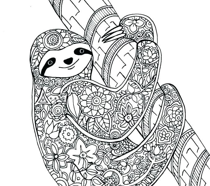 Best 21 Baby Sloth Coloring Pages Home, Family, Style and Art Ideas