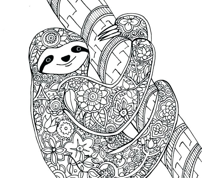 Baby Sloth Coloring Pages
 Cute Sloth Coloring Pages