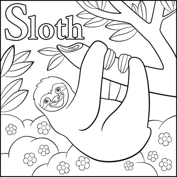 Baby Sloth Coloring Pages
 Royalty Free Baby Sloth Clip Art Vector