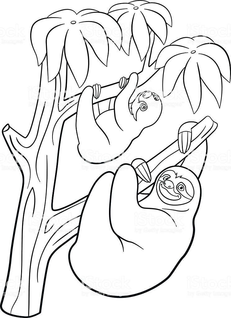 Baby Sloth Coloring Pages
 Coloring Pages Mother Sloth With Her Little Cute Baby