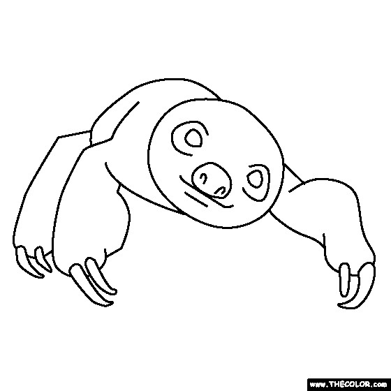 Baby Sloth Coloring Pages
 Free line Coloring Pages TheColor