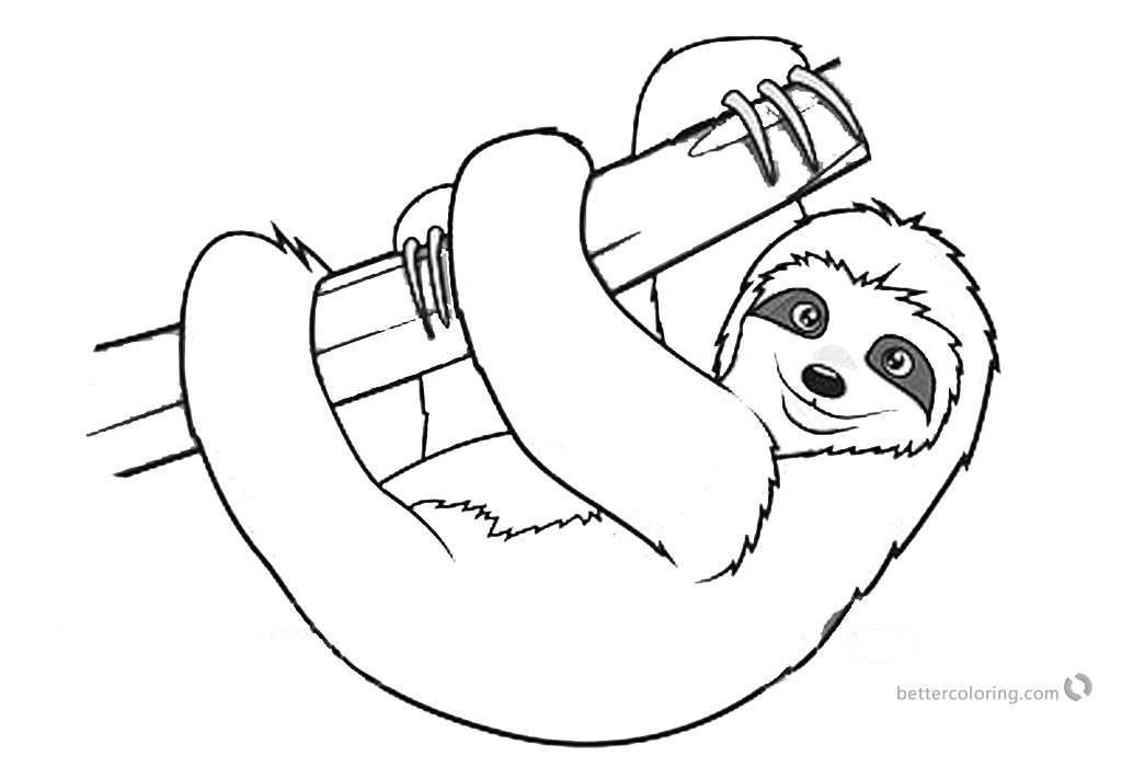 Baby Sloth Coloring Pages
 Sloth Coloring Pages Realistic Three Toed Sloth Free