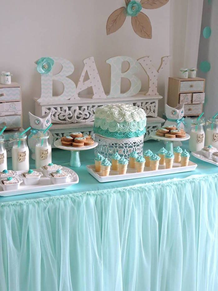 Baby Welcome Decoration Ideas
 Turquoise Owl "Wel e Home Baby" Party