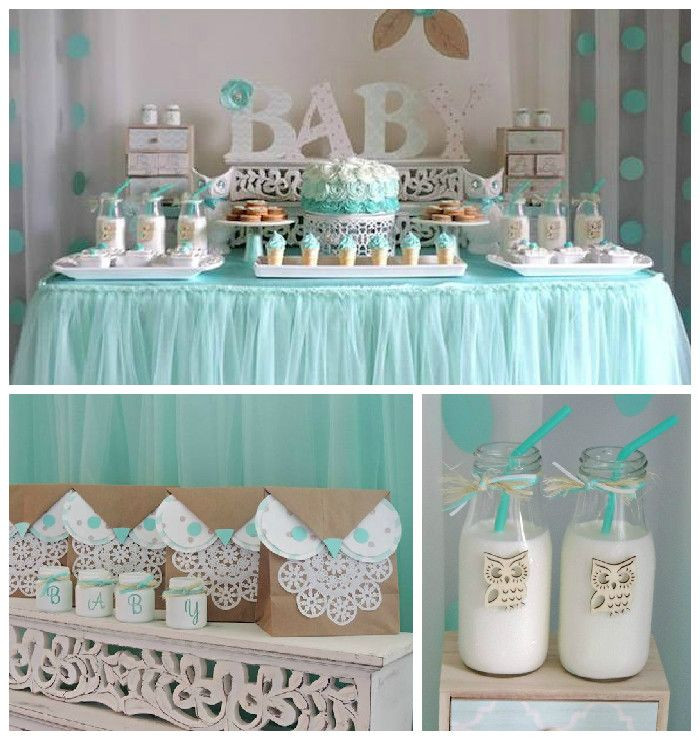 Baby Welcome Decoration Ideas
 Turquoise Owl "Wel e Home Baby" Party