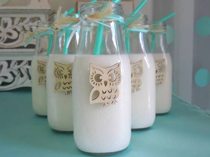 Baby Welcome Party Ideas
 Kara s Party Ideas Turquoise Owl "Wel e Home Baby" Party