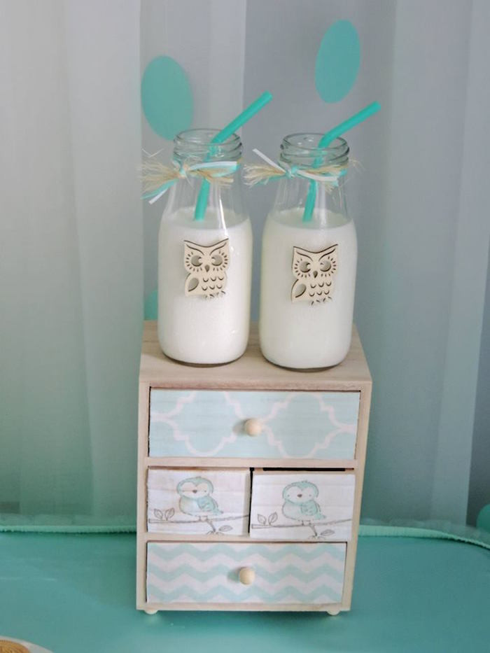 Baby Welcome Party Ideas
 Kara s Party Ideas Turquoise Owl "Wel e Home Baby" Party